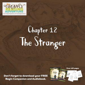 Chapter 12: The Stranger