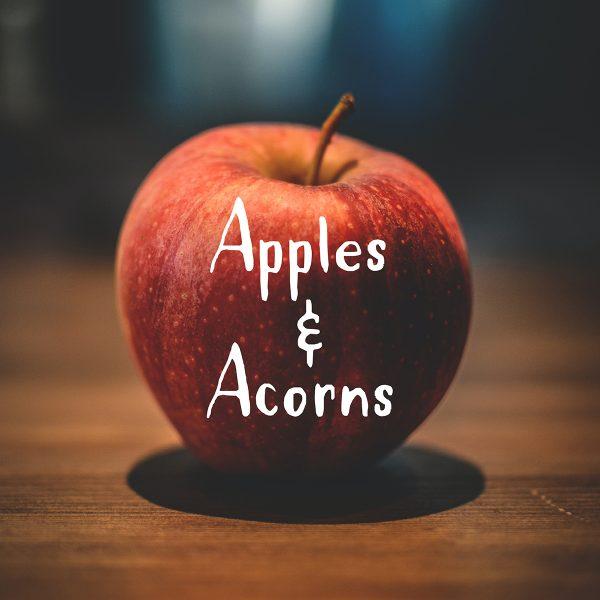 Apples & Acorns